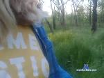 -MISTIKA- bongacams livecam show performer room profile