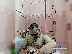ExDonoOh bongacams livecam show performer room profile