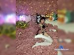 LolyMolly bongacams livecam show performer room profile