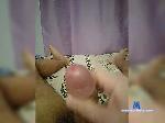 Kingbolt2000 bongacams livecam show performer room profile