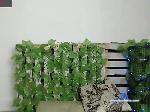 malejaduran bongacams livecam show performer room profile