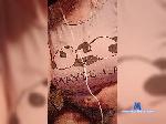 Yaren0018 bongacams livecam show performer room profile