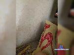 Cargo29 bongacams livecam show performer room profile