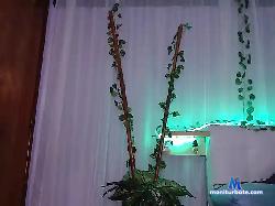 DAIANA-ATKINS bongacams live cam performer profile
