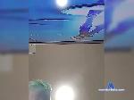 MasterSal bongacams livecam show performer room profile