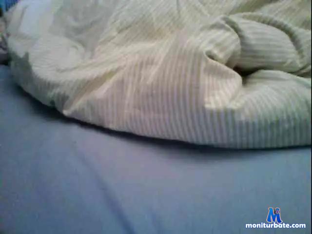 cindiefr bongacams performer shemale