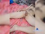 JohnnyWiles bongacams livecam show performer room profile