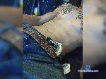 Inspireenvy69 bongacams livecam show performer room profile