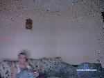 vulkiks bongacams livecam show performer room profile