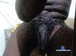 black-big1 bongacams livecam show performer room profile
