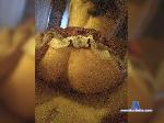 Pussilickilov bongacams livecam show performer room profile
