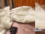 OlegKotik2 bongacams livecam show performer room profile