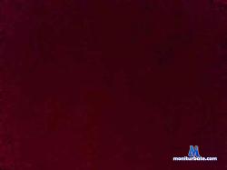Nikolaaa2789 bongacams live cam performer profile