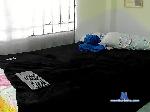 potro-fit bongacams livecam show performer room profile