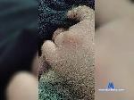 Suetolog7611 bongacams livecam show performer room profile