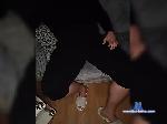 Tima1312 bongacams livecam show performer room profile