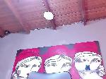 rio-stone bongacams livecam show performer room profile