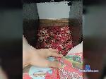 Miner-1 bongacams livecam show performer room profile