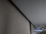 XIMCEKC bongacams livecam show performer room profile
