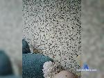jduna bongacams livecam show performer room profile