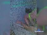 KatyMaks69 bongacams livecam show performer room profile