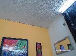 andresito17 bongacams livecam show performer room profile