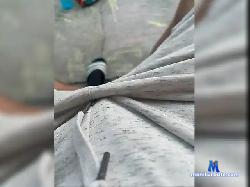 sheltonmason bongacams live cam performer profile