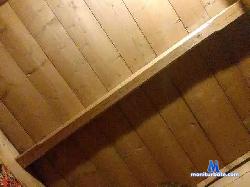 SeniaQRed bongacams live cam performer profile