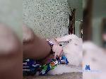 Nikodislikeli bongacams livecam show performer room profile