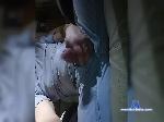 2elfi04ik bongacams livecam show performer room profile