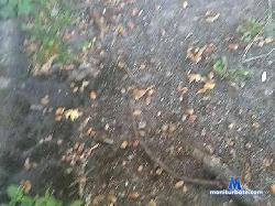 Zpizikyni bongacams live cam performer profile