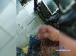 s1ngLexxx bongacams livecam show performer room profile