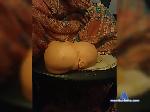 Evgen1993a bongacams livecam show performer room profile