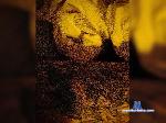 Jest-Hell bongacams livecam show performer room profile