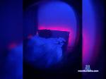 Potronus bongacams livecam show performer room profile