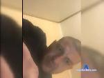 daddycucklove bongacams livecam show performer room profile