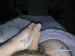 Ebarbia bongacams livecam show performer room profile