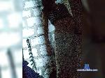 Buster481515 bongacams livecam show performer room profile