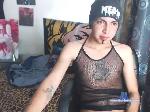 adam-lust20 bongacams livecam show performer room profile