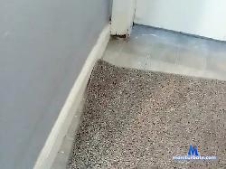 cumseemenakd bongacams live cam performer profile