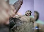 Cachorrao bongacams livecam show performer room profile