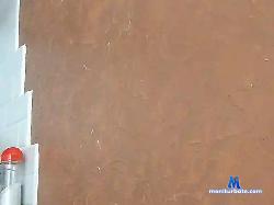 SamNorton bongacams live cam performer profile