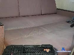 dmalester bongacams live cam performer profile