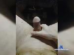 Alexqwertyy bongacams livecam show performer room profile