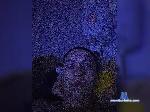 iksil2023 bongacams livecam show performer room profile