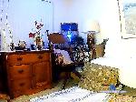 sexylel bongacams livecam show performer room profile