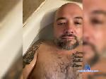 MarcoMilano1 bongacams livecam show performer room profile