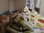 Akarudream811 bongacams livecam show performer room profile