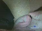 Tiger0001 bongacams livecam show performer room profile