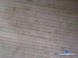 ModelCitizen bongacams live cam performer profile